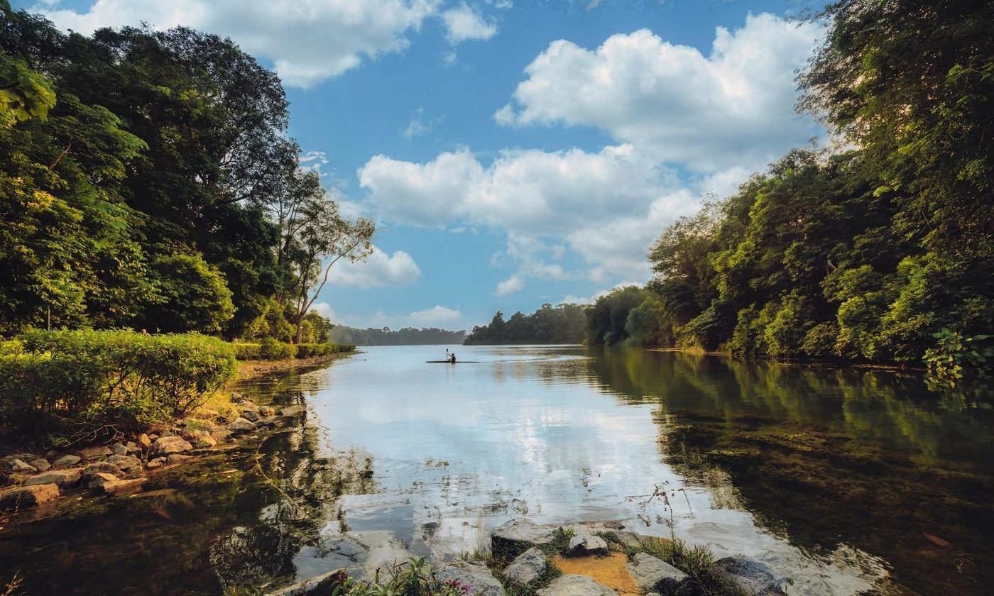 MacRitchie Reservoir near Thomson Reserve