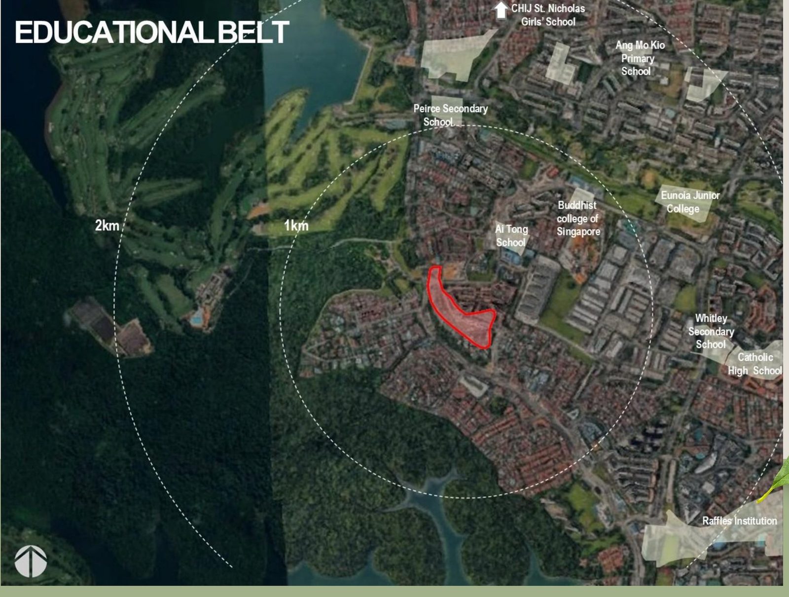 Schools near Thomson Reserve — Ai Tong School within 1km